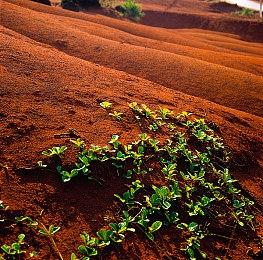 EA网络会议：分析《战地2042》失败原因