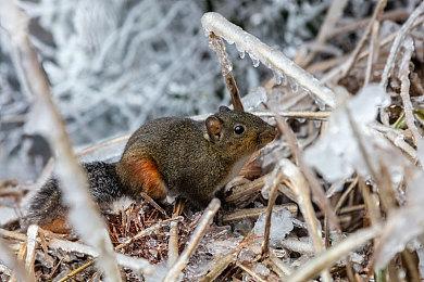 《巫师3》Steam社区禁止谈“觉醒” 让玩家们不满